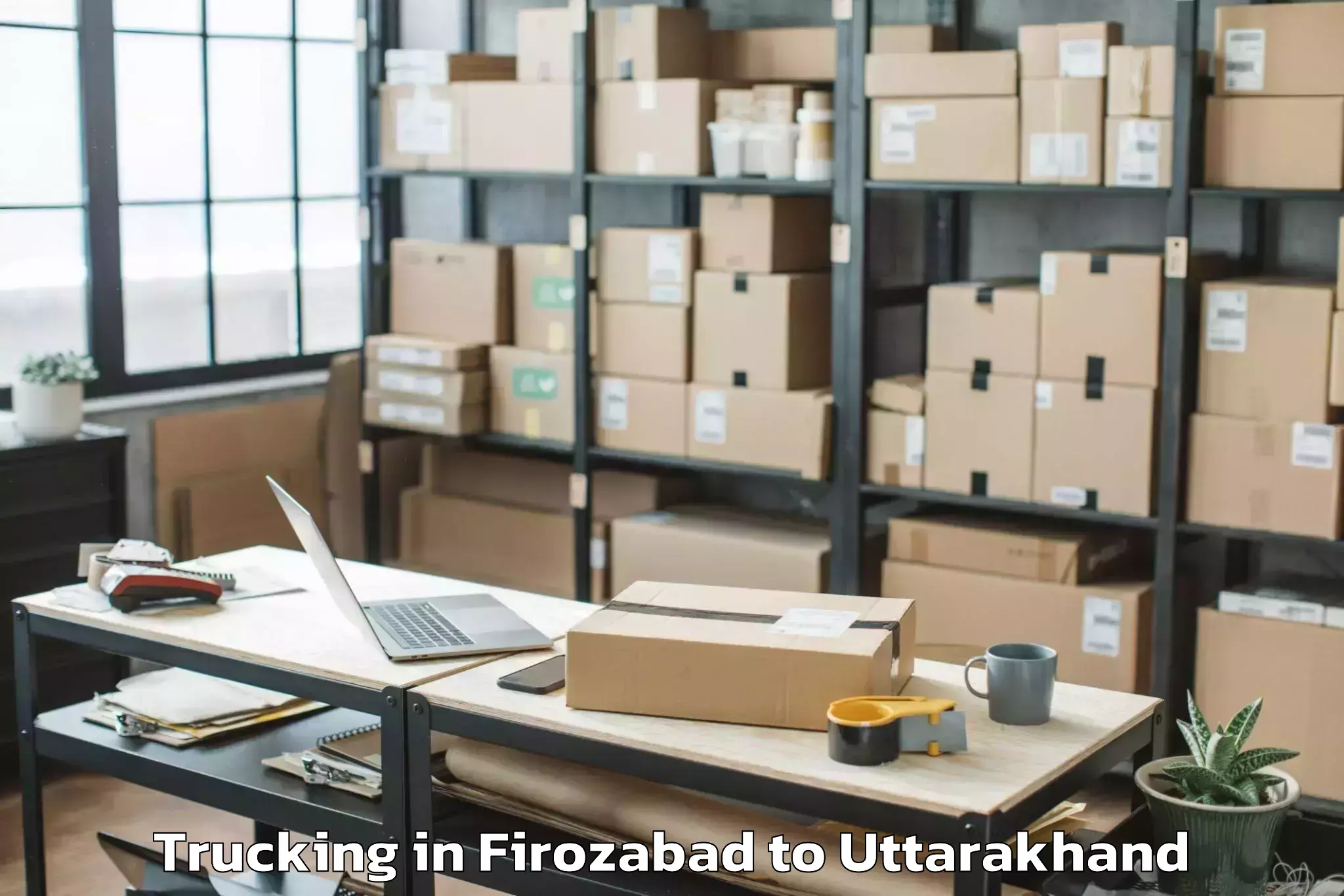 Professional Firozabad to Kichha Trucking